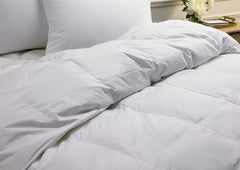 Aloe vera Duvet